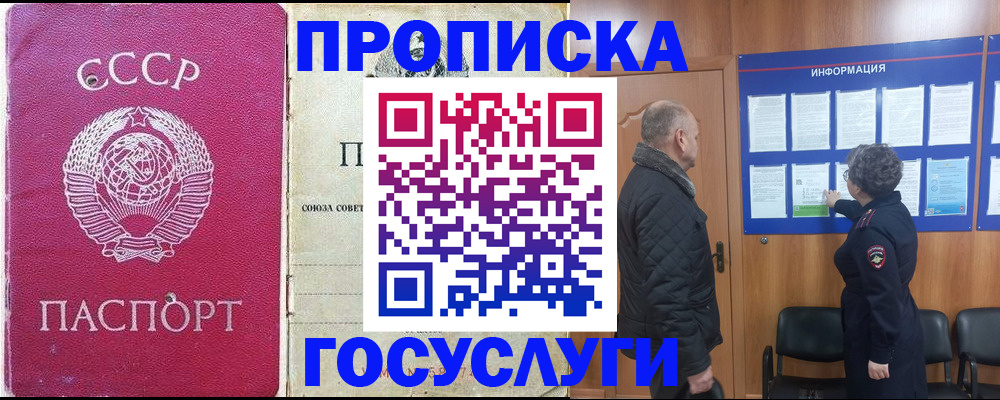 временная регистрация адрес в Елизово